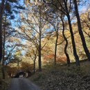 가섭암지화장실 이미지