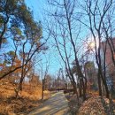 쇠재공원 이미지