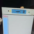 Thermo Forma Steri-Cycle 371 CO₂ 인큐베이터 184L 이미지