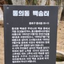 주식회사 청운자원 | 여행 88.43] 문화탐방동호회 서촌탐방1(백송나무, 청운효자동 풍경, 미로미로, 진명여고, 혜공 신익희...