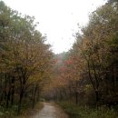 금정역 6번 출구 이미지