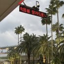 물만난 하우스 | 제주도게스트하우스 추천｜월정리 모들공간 숙박후기, 1인여행 다이닝 디너