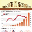 뉴비즈