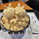 설빙춘천강남점 티스토리