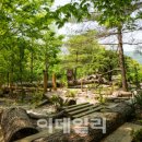 KB국민은행 맞은편 이미지