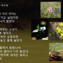 <b>소녀</b>의 뜰