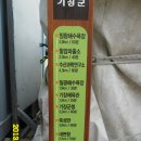 기장체육관 이미지