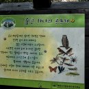 덕재굴다리 앞 | 망월사를 지나 사패산을 가다