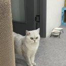 룰루랄라 이미지