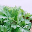 두암경희한의원 이미지