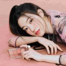 카즈하 카카오 검색결과