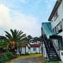 초록민박 이미지