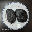 쑥이랑 이틀 동안 붙었는데 내가 이겼다~~승 이미지