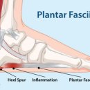 푸른숲한의원 이미지