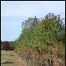 (주)한특 이미지