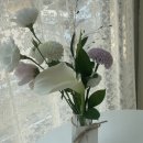 투베이크(to bake) 이미지