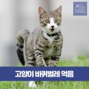 율하시티동물병원 이미지