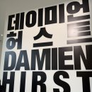 한미사진미술관 | [전시] 국립현대미술관 서울 핫한 데미안허스트 전시 관람 후기(+예매링크)