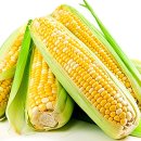 레옹안경 이미지