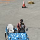 성우H.F | 오키도키오키나와 여름휴가 대작전