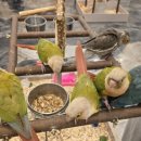 인천반려동물농장 이미지