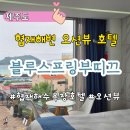 녹스 부띠끄 관광호텔 | 협재숙소 협재해수욕장호텔 블루스프링부띠끄호텔