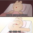 학수네농장 | 26년도 15주차(4/5~4/11) 둥근해 미친거