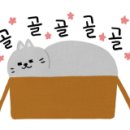 파스타입니다 해운대점 이미지