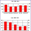 4월 5일 자, 일반신문과 조폭찌라시들의 만평비교! 이미지