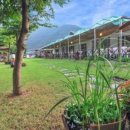 13월의아침 이미지