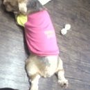 김태화동물병원 이미지