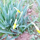 수선화모텔 이미지