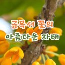 쌍향수길 이미지