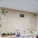 용흥초 병설유치원 이미지