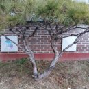 군문초등학교 이미지