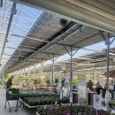 씨유용인이동천리점 | [용인/남사화훼단지] 에르베플라워아울렛 식물쇼핑 천국 🌿 식물/화분/분갈이까지 한 번에!