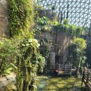 거제남서로 이미지