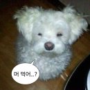 먹고마시고 이미지