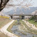 덕풍천서로 이미지