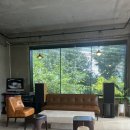 산성애견 이미지