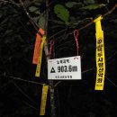 정선초교가수분교 이미지