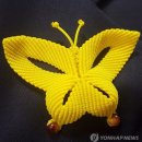 모양정화조