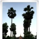 더 루앙 이미지