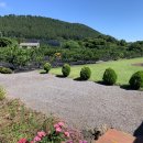 스테이 아이올라 이미지