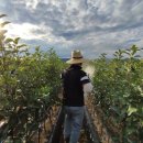 농경3농장 이미지