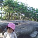 돌산농원 이미지