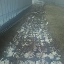 창성농장 이미지