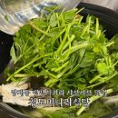 청도식당 | 강남 양재역 뱅뱅사거리 샤브샤브 맛집 청도미나리식당 내돈내산 추천후기