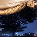 울성1로 이미지