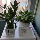 고대영어교습소 이미지